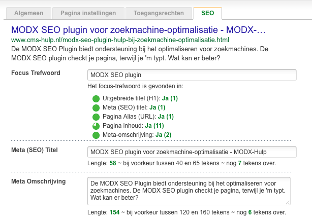 De Google Preview laat zien hoe je pagina verschijnt in de zoekresultaten