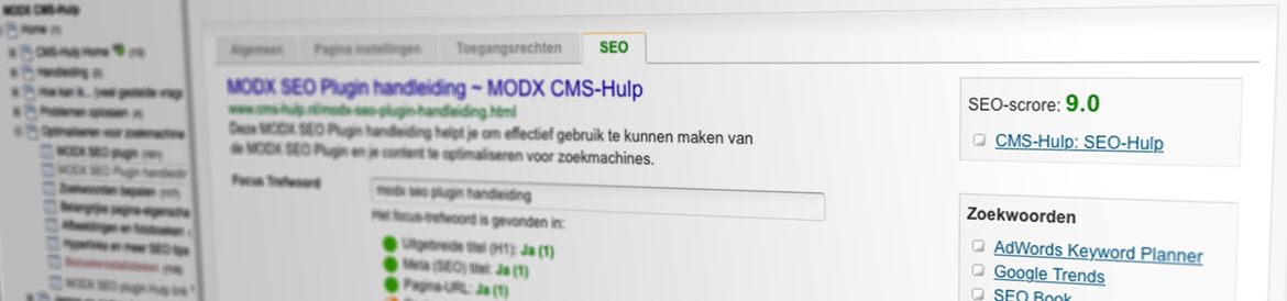 SEO Scan uitleg - MODX CMS-Hulp