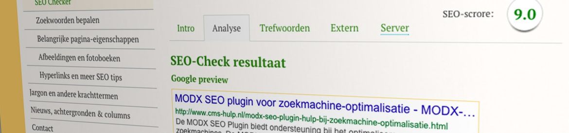 SEO Scan analyseert zoekmachine-optimalisatie - CMS-Hulp